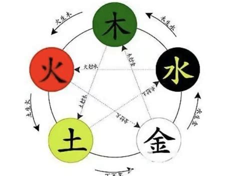 樺字五行|桦字的五行属性